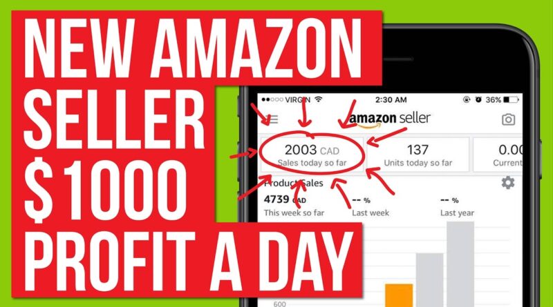 STUDENT MAKING OVER $1,000 PROFIT A DAY ON AMAZON! HOW HE DID IT!