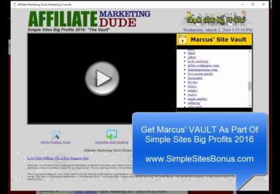 Affiliate Marketing Profit Site Examples Niche Marketing CPA Affiliate Sites