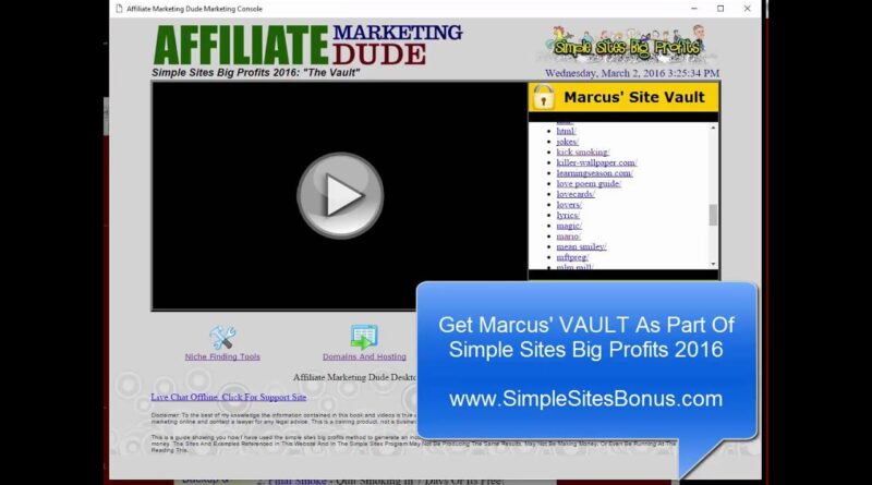 Affiliate Marketing Profit Site Examples Niche Marketing CPA Affiliate Sites